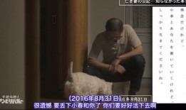 日本爆料真实故事视频大全,视频大全背后的惊人真相